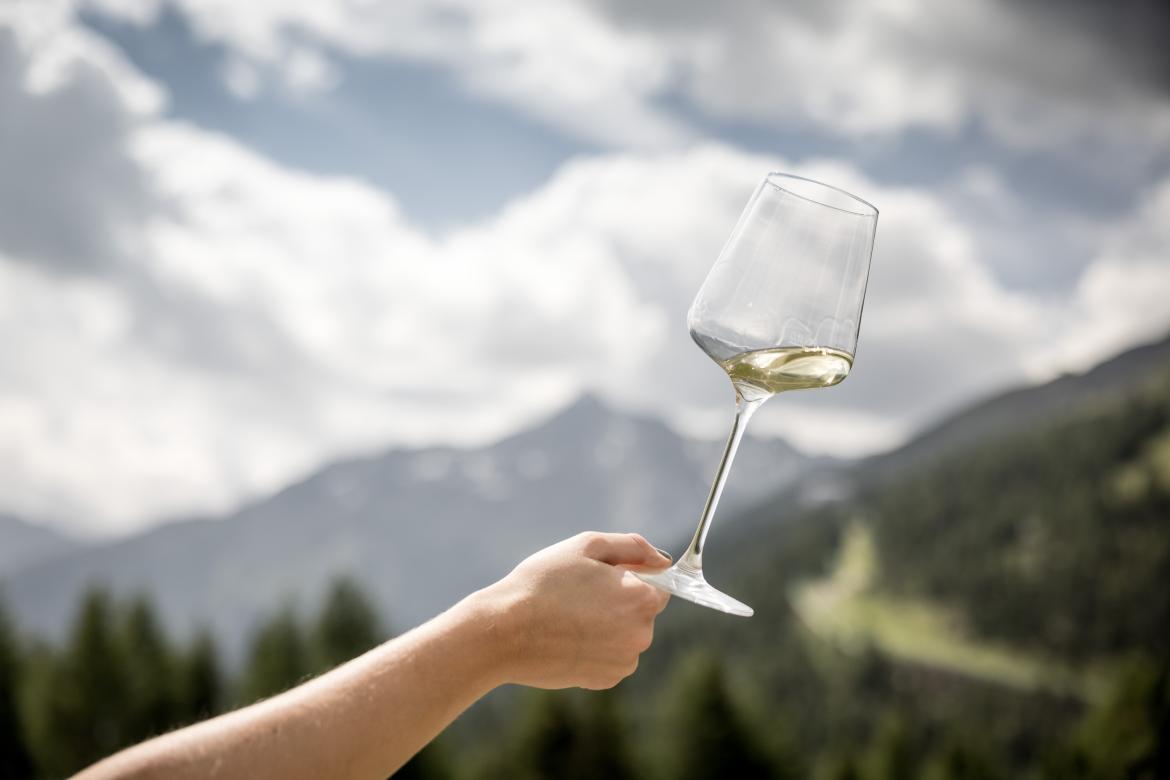 Wein am Berg - Summer Edition